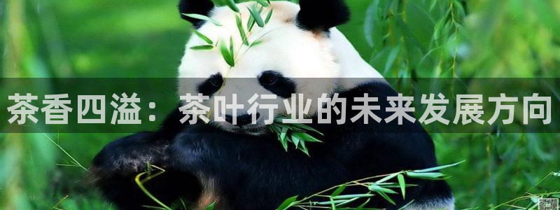 彩名堂.netnet