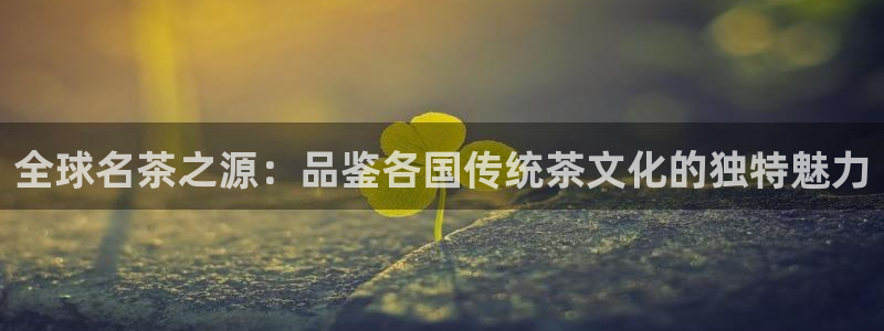 彩名堂计划技巧