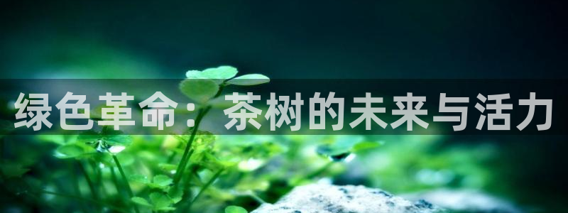 彩名堂一直不出结果怎么回事