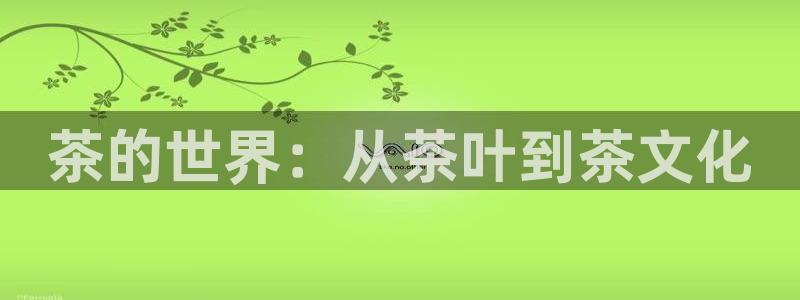 彩名堂官网计划怎么下载到手机