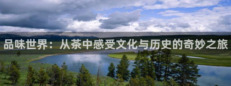 彩名堂首页
