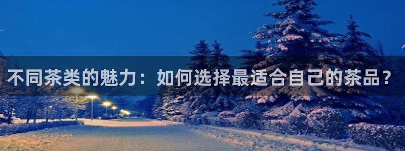 彩名堂合作655560