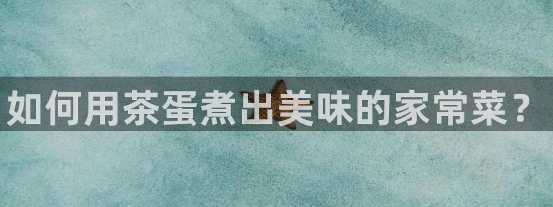 彩名堂免费计划亮点