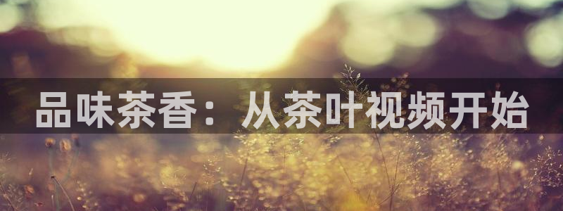 彩名堂免费计划5.0使用方法