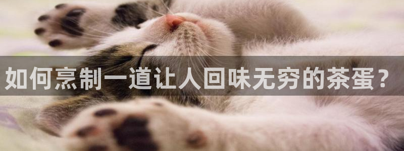 彩名堂免费计划官网怎么进不去了呢