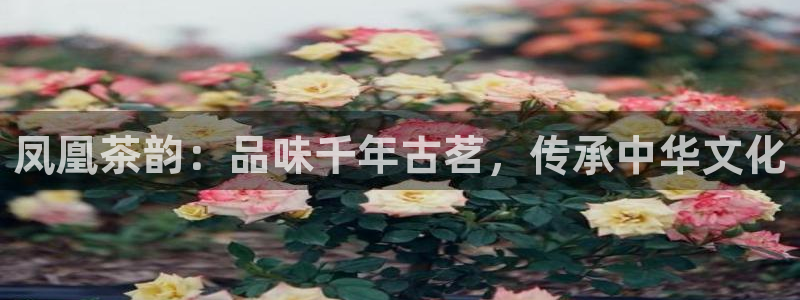 彩名堂苹果客户端怎么下载
