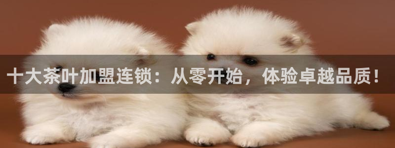 彩名堂计划app安卓免费下载