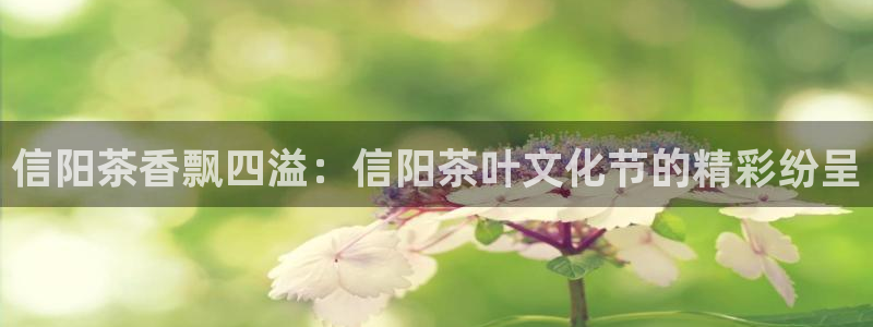 彩名堂最新版www