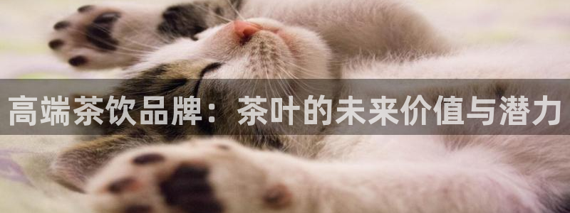 彩名堂一直不出结果怎么回事呢