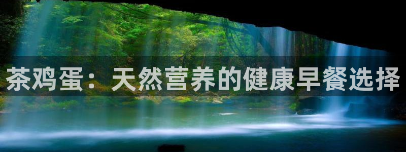 最新彩名堂计划