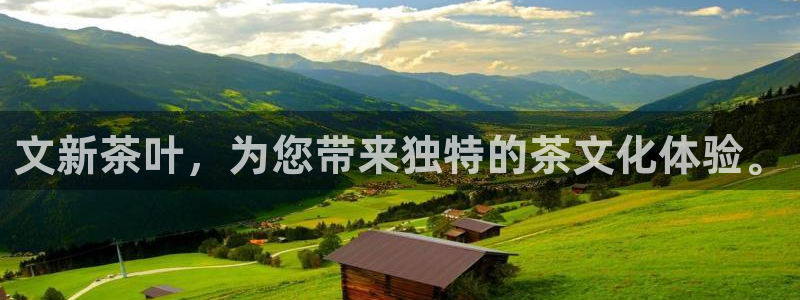 彩名堂预测免费计划