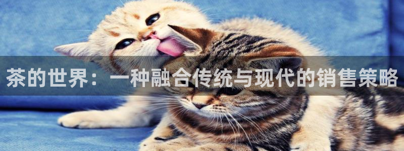 彩名堂最新计划app下载