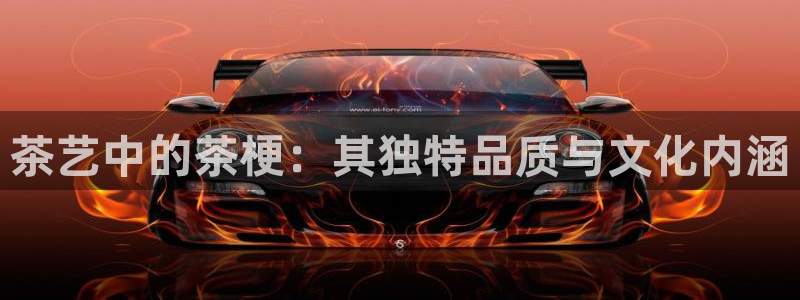 彩名堂免费计划客户端官网