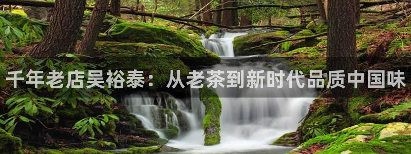 彩名堂全天计划