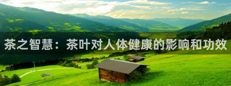 彩名堂免费计划下载