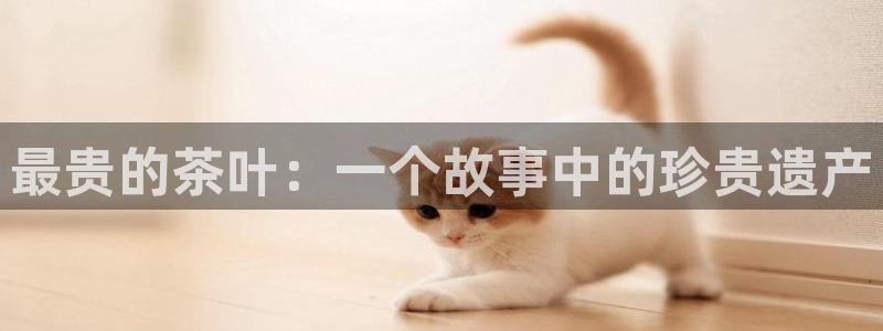 为什么彩名堂今天不能用