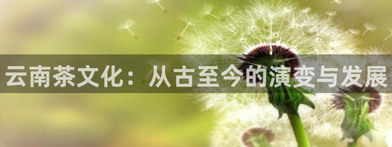 彩名堂预测免费计划怎么看的