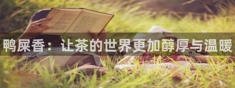 彩名堂计划最新版手机版