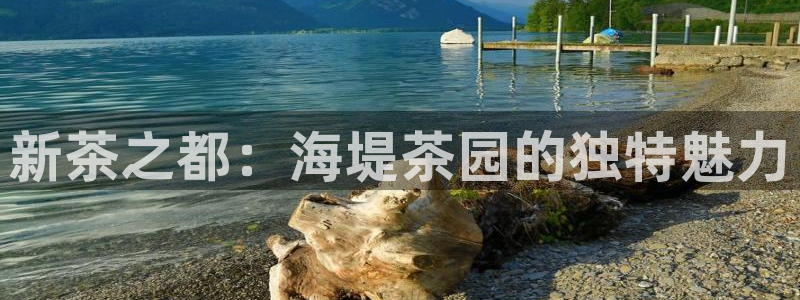 彩名堂最新计划下载地址
