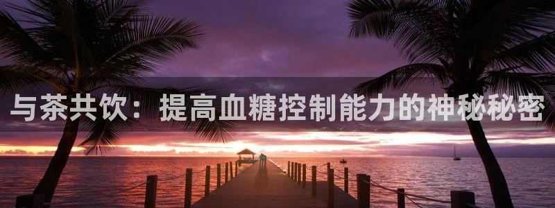 彩名堂全天计划