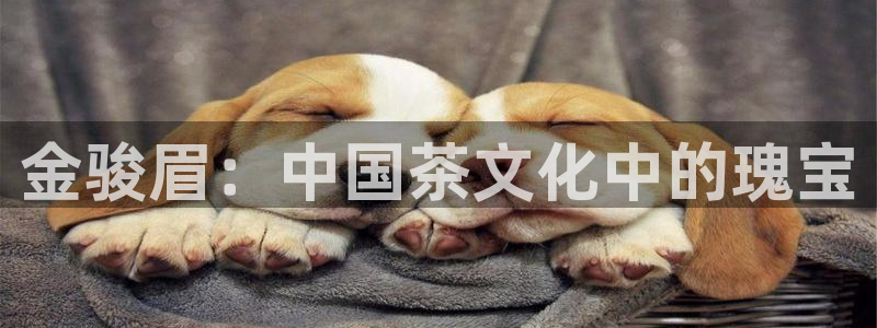 彩名堂苹果客户端怎么下载
