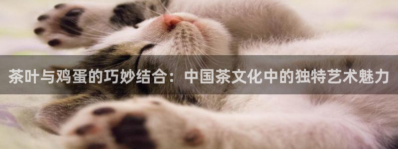 彩名堂预测免费计划