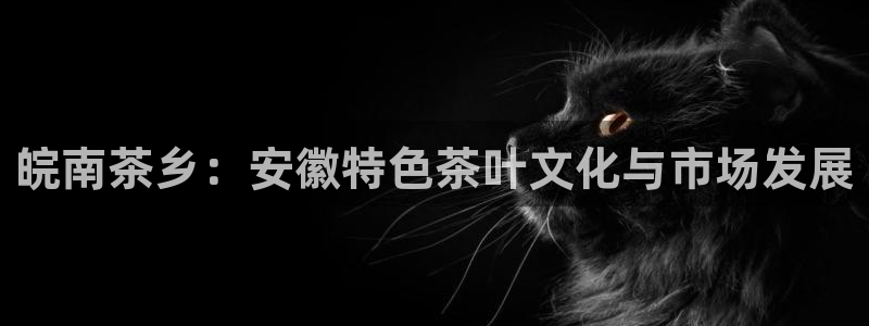 下载彩名堂预测计划软件安全吗